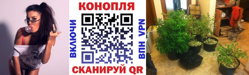 Купить наркоту Пестово Галлюциногенные грибы  СОЛЬ  ГАШИШ  МЕФ  COCAIN  АМФЕТАМИН 