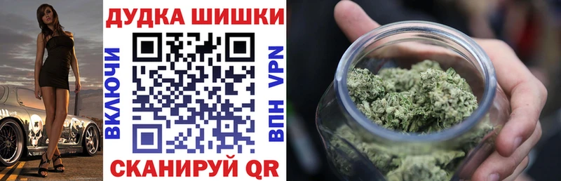 omg онион  Пестово  Канабис планчик  где купить наркоту 